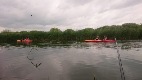 Zawody wędkarskie – 2017-06-25